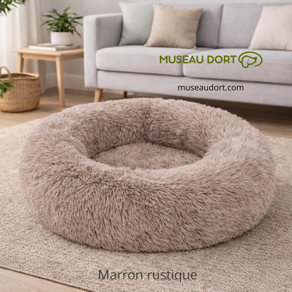 Coussin pour chien cocon marron rustique, moelleux et rassurant, dans un salon moderne, idéal pour chien d’intérieur.