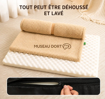 Coussin pour chien déhoussable avec mousse alvéolée amovible et fermeture éclair pour faciliter l’entretien.