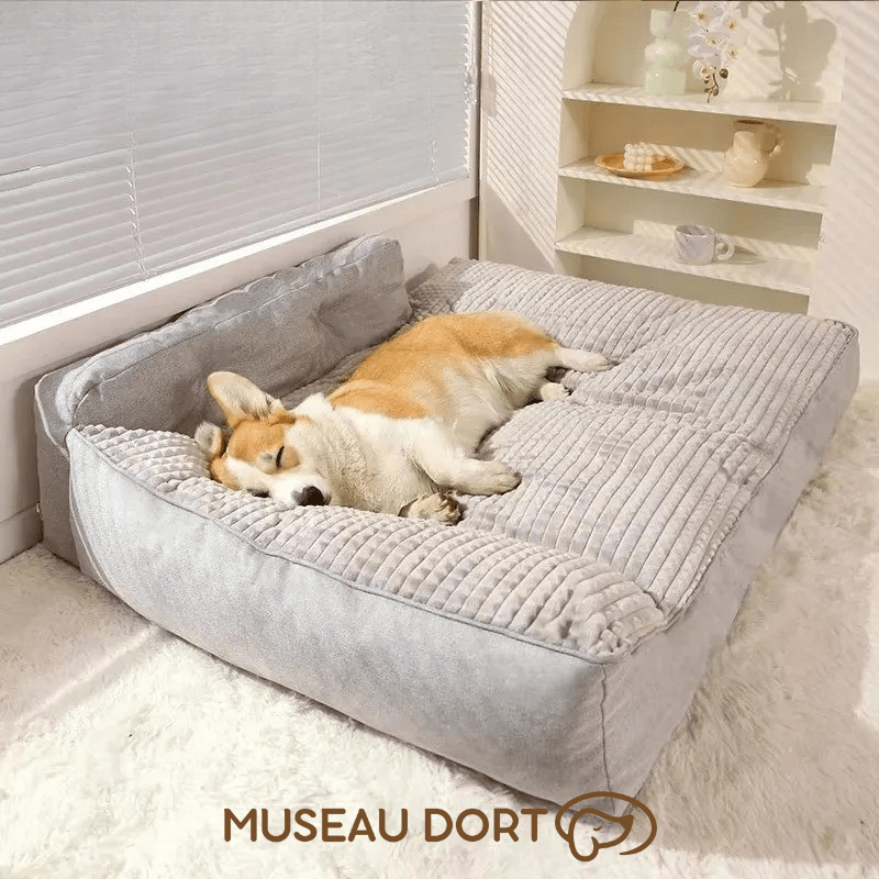 Coussin pour Chien | Hoopet™ - Museau dort
