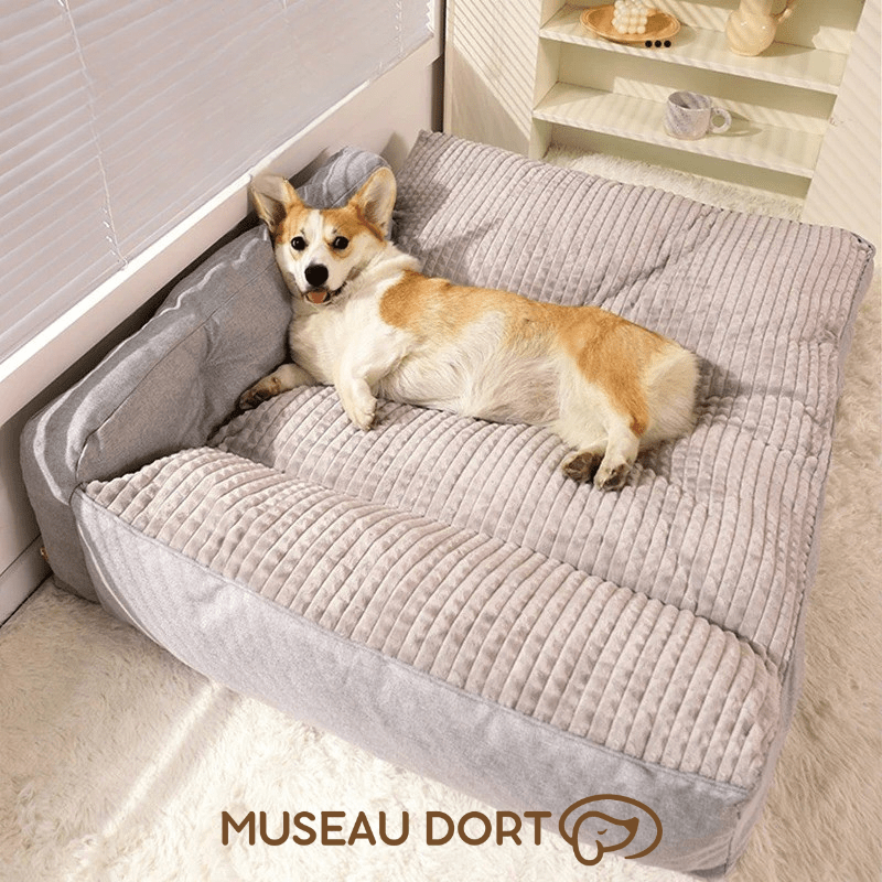 Coussin pour chien Hoopet avec chien allongé tête levée, couchage orthopédique et enveloppant Museau Dort