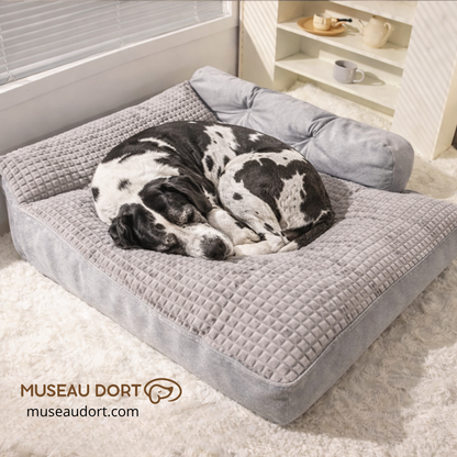 Coussin pour chien Hoopet avec grand chien en boule, couchage XXL orthopédique et enveloppant Museau Dort
