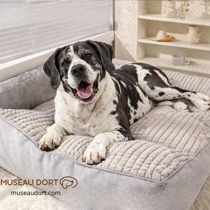 Coussin pour chien Hoopet avec grand chien tête levée et souriant, couchage XXL orthopédique Museau Dort