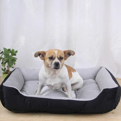 Petit chien assis dans un coussin pour chien lavable noir et gris, doux et confortable pour le repos. Museau Dort.