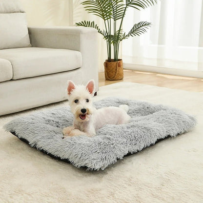 Coussin pour Chien Moelleux 🐾 | Il Va Te Piquer Ta Place sur le Canapé ! - Museau dort