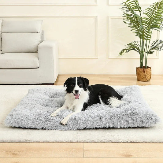 Coussin pour Chien Moelleux 🐾 | Il Va Te Piquer Ta Place sur le Canapé ! - Museau dort