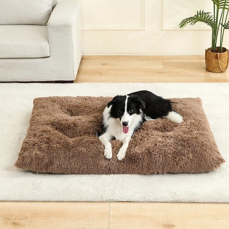 Coussin pour Chien Moelleux 🐾 | Il Va Te Piquer Ta Place sur le Canapé ! - Museau dort