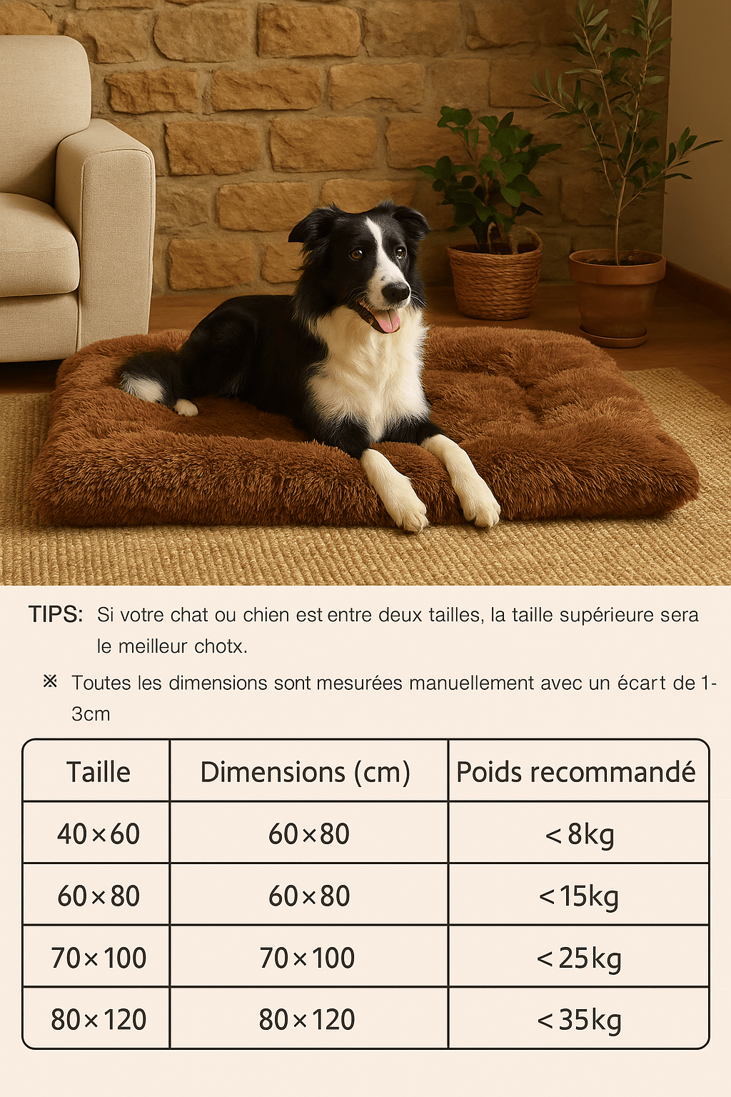 Coussin pour Chien Moelleux 🐾 | Il Va Te Piquer Ta Place sur le Canapé ! - Museau dort
