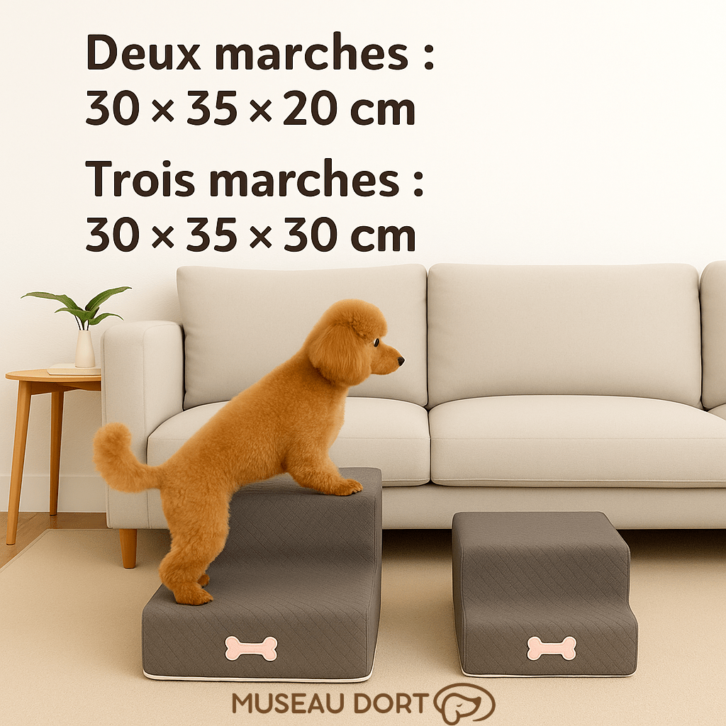 Escalier pour chien 2 ou 3 marches avec dimensions, modèle en mousse pour petit chien et chien sénior, Museau Dort