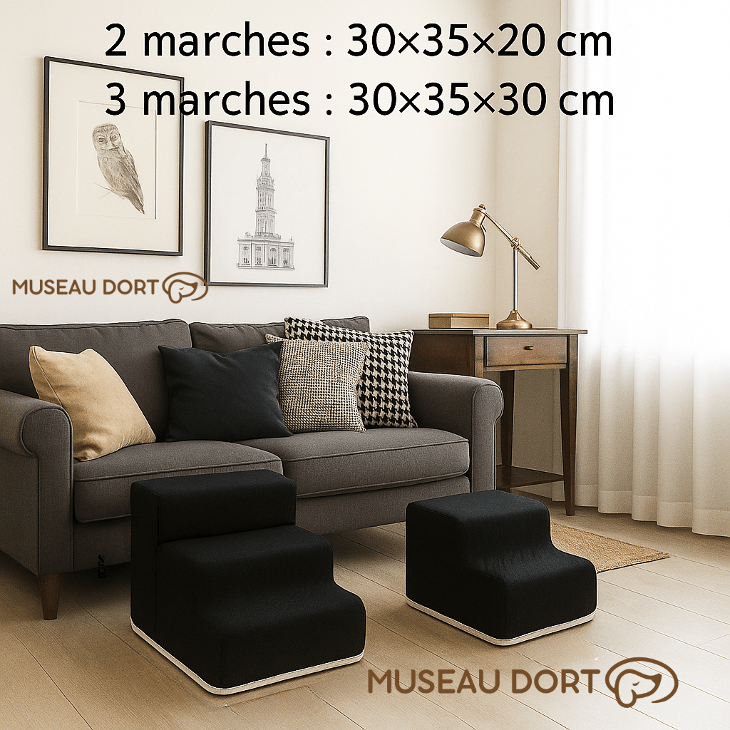 Escalier pour chien intérieur 2 ou 3 marches avec dimensions, modèle en mousse pour petit chien et chien sénior, Museau Dort