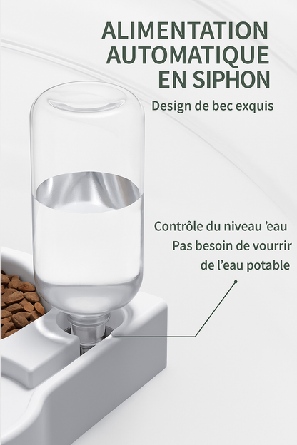 Distributeur d’eau automatique en siphon avec contrôle du niveau d’eau. Gamelle cœur pour chien et chat. Disponible chez Museau Dort