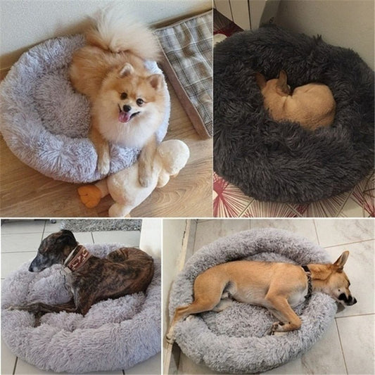 DoggyPouf™ - Coussin doux pour chien - Museau dort