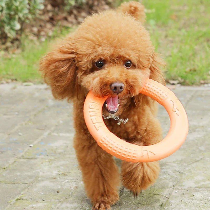 DogTrainingRing™ - Museau dort