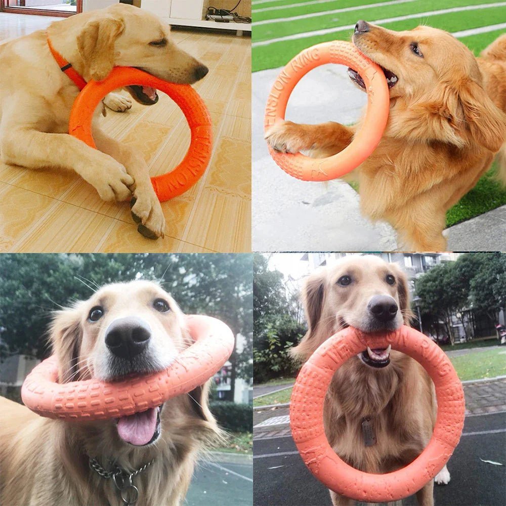 DogTrainingRing™ - Museau dort