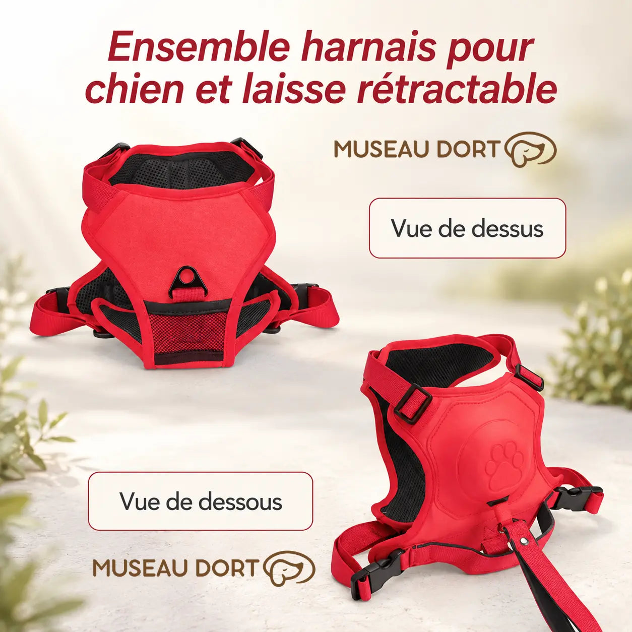 Harnais chien avec laisse rétractable montré en vue de dessus et vue de dessous