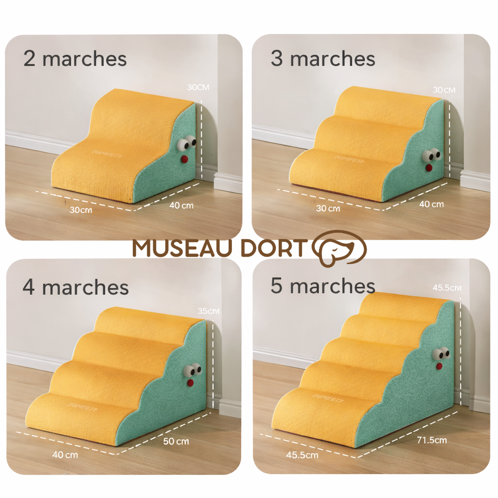 Escalier pour chien 2 3 4 et 5 marches base antiglisse montée progressive Museau Dort