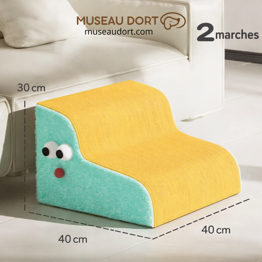 Escalier chien 2 marches 40x40 cm hauteur 30 cm antidérapant jaune et vert.