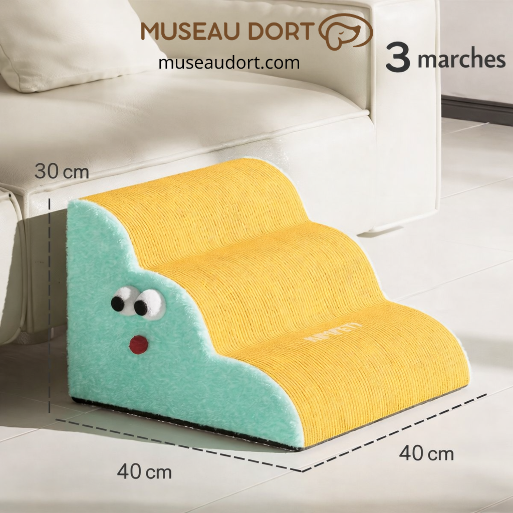 Escalier chien 3 marches 40x40 cm hauteur 30 cm antidérapant jaune et vert.
