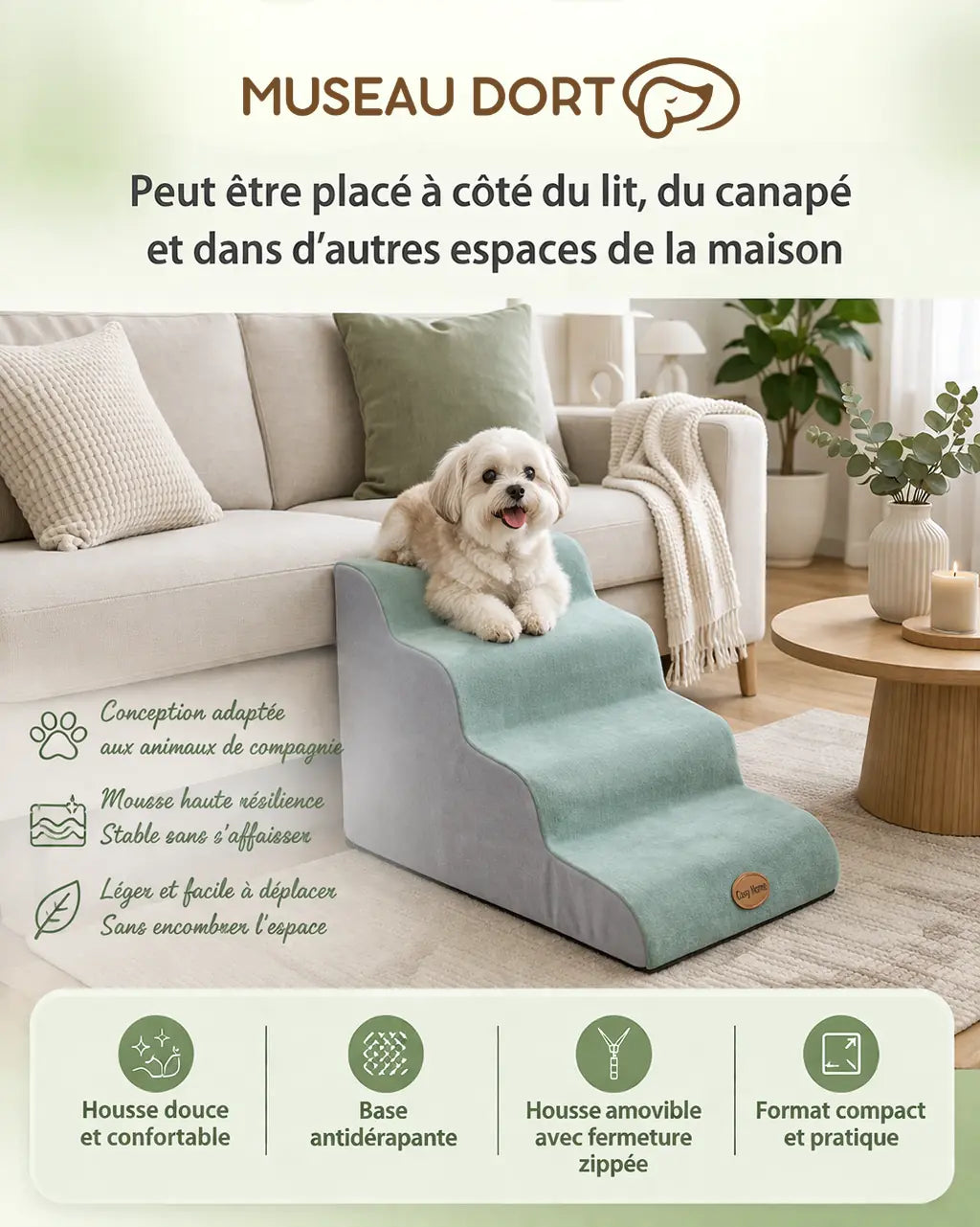 Escalier chien âgé près du canapé, stable et compact pour la maison, Museau Dort
