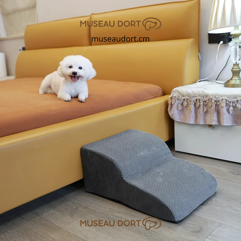 Escalier pour chien en mousse antidérapante devant un canapé, aide sécurisée pour monter sans sauter – Museau Dort