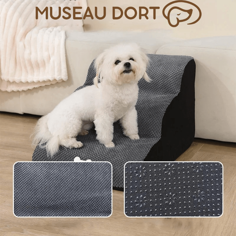 Escalier en Mousse pour Chien 🐾 | Autonomie et Sérénité au Quotidien - Museau dort