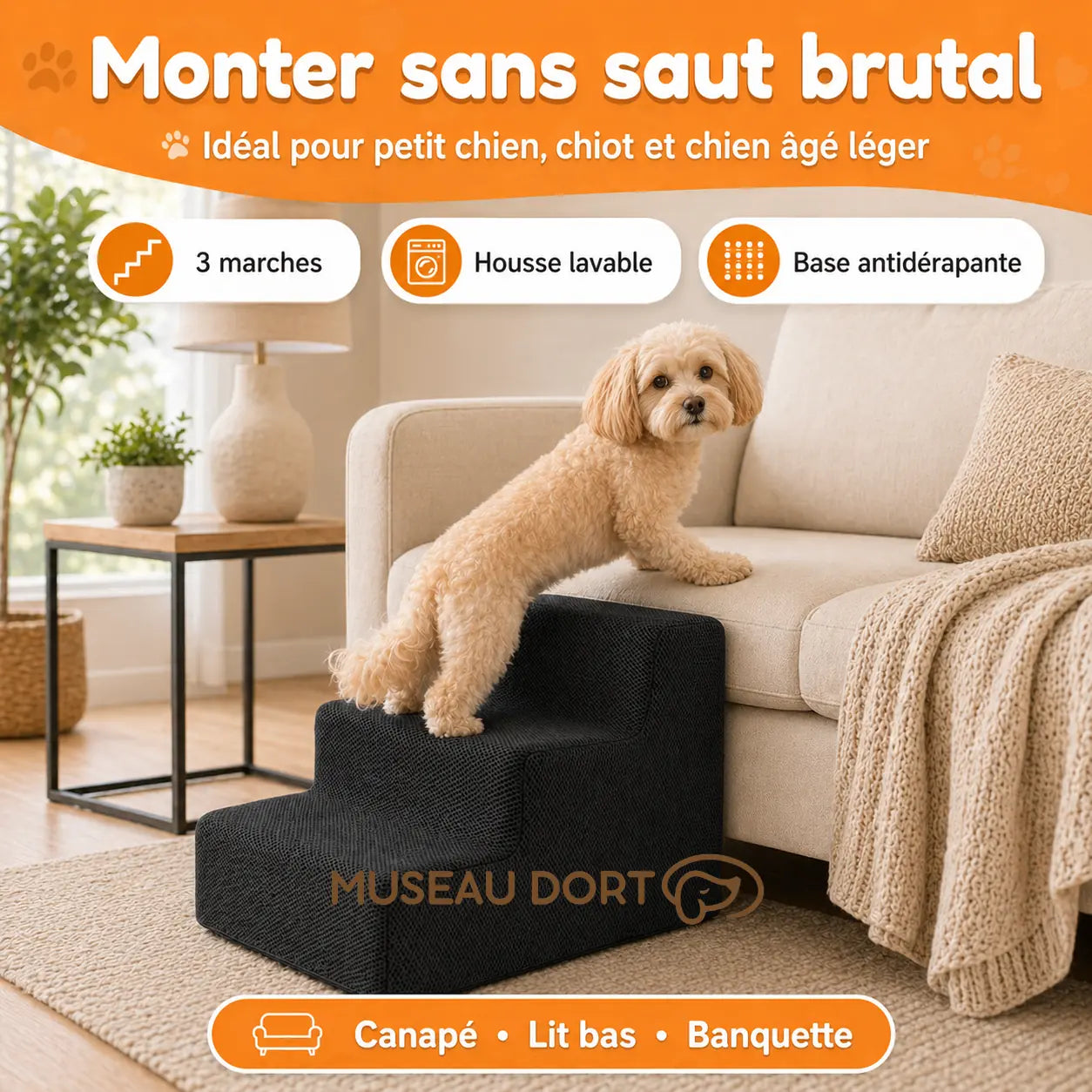 Petit chien utilisant un escalier en mousse 3 marches pour monter sans saut brutal sur canapé, Museau Dort