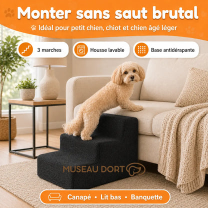 Petit chien utilisant un escalier en mousse 3 marches pour monter sans saut brutal sur canapé, Museau Dort