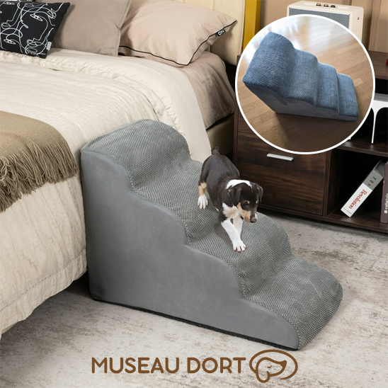 Escalier en mousse gris pour chien, accès sécurisé au lit avec surface antidérapante. Disponible chez Museau Dort