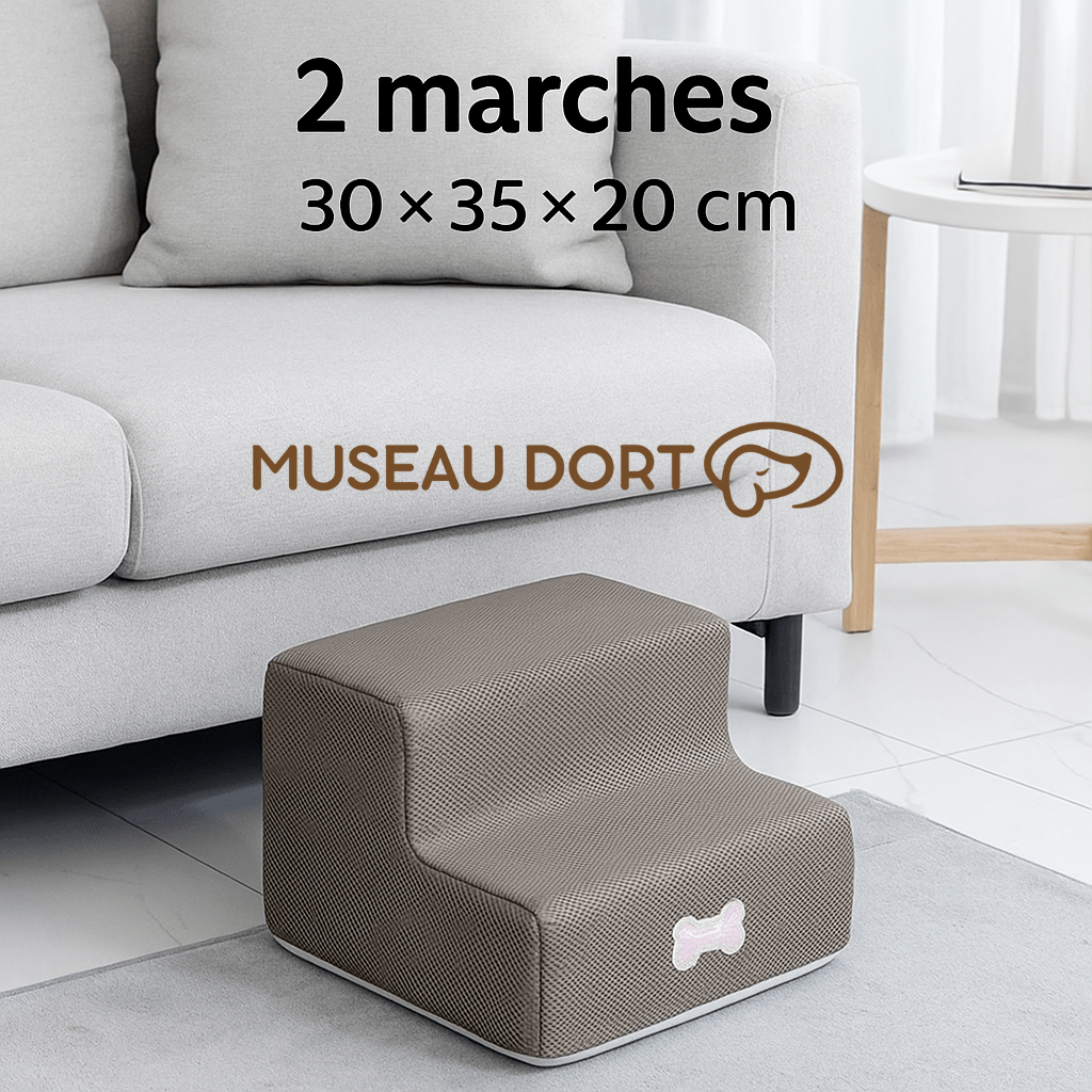 Escalier pour chien 2 marches avec dimensions 30x35x20 cm, modèle en mousse pour petit chien et chien sénior, Museau Dort.
