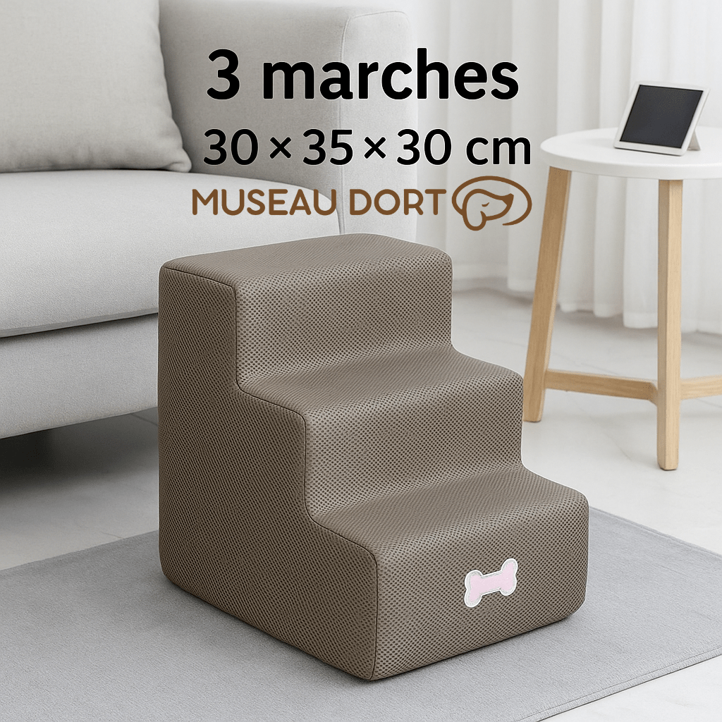 Escalier pour chien 3 marches avec dimensions 30x35x30 cm, modèle en mousse pour petit chien et chien sénior, Museau Dort.