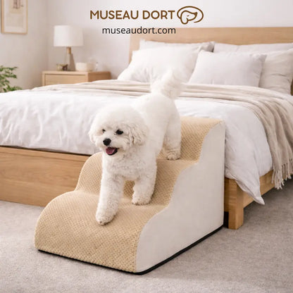 Escalier pour chien âgé beige antidérapant facilitant l’accès au lit pour chien senior