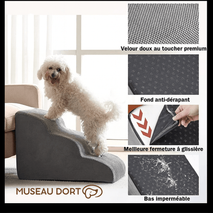 Escalier pour Chien Âgé Intérieur Design – Confort et Élégance au Quotidien - Museau dort