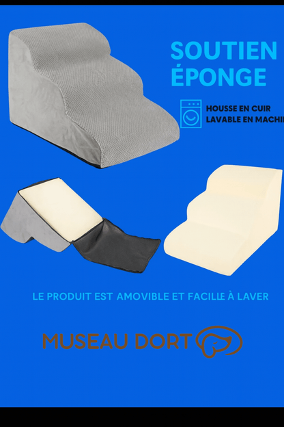 Escalier pour Chien Âgé Intérieur Design – Confort et Élégance au Quotidien - Museau dort