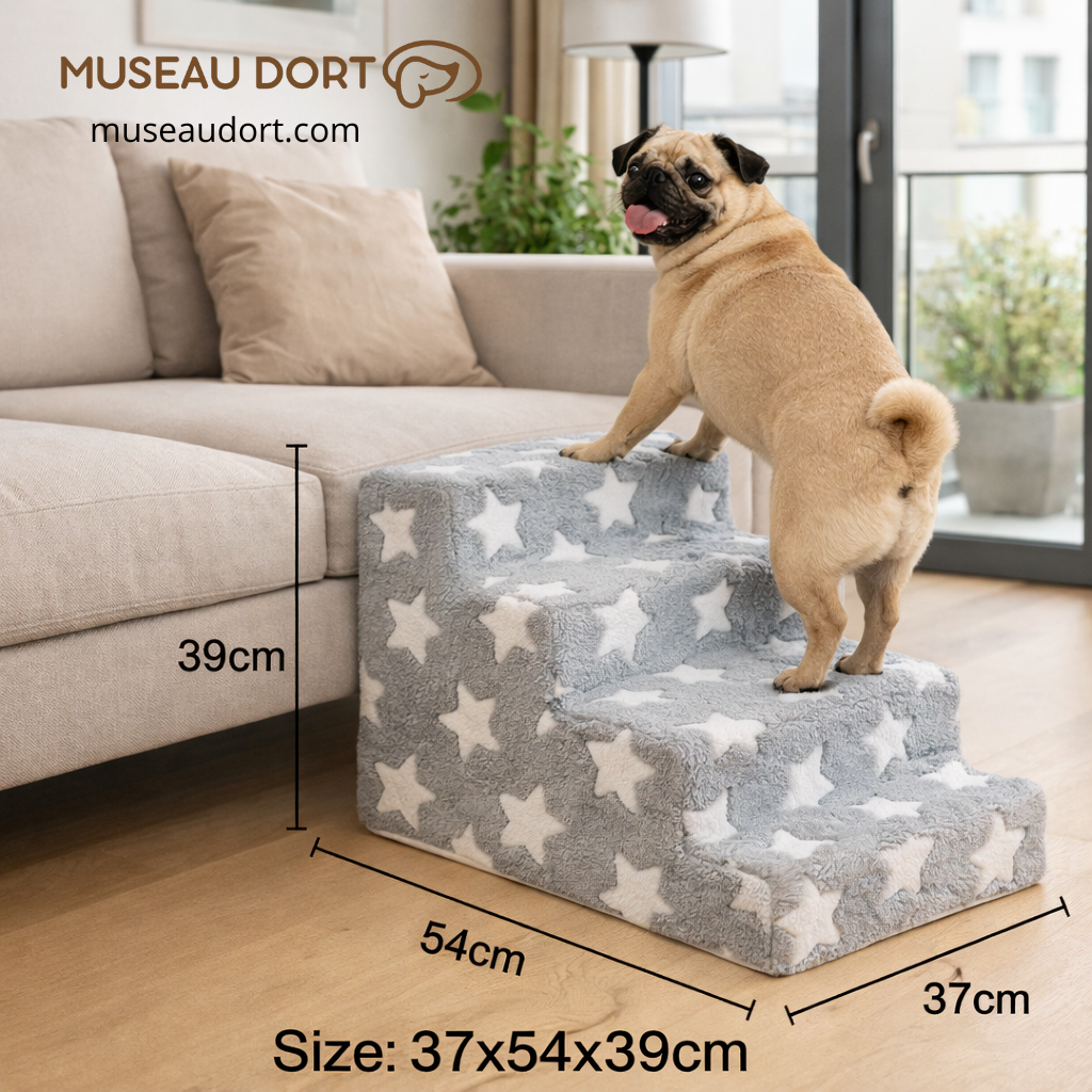 Escalier pour chien avec dimensions 37x54x39 cm, placé contre le canapé pour une montée sûre et confortable – Museau Dort