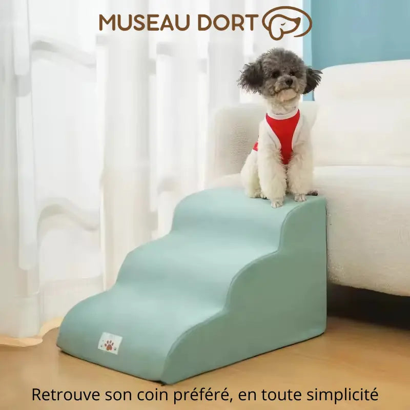 Petit chien assis sur un escalier pour chien en mousse devant le canapé Museau Dort