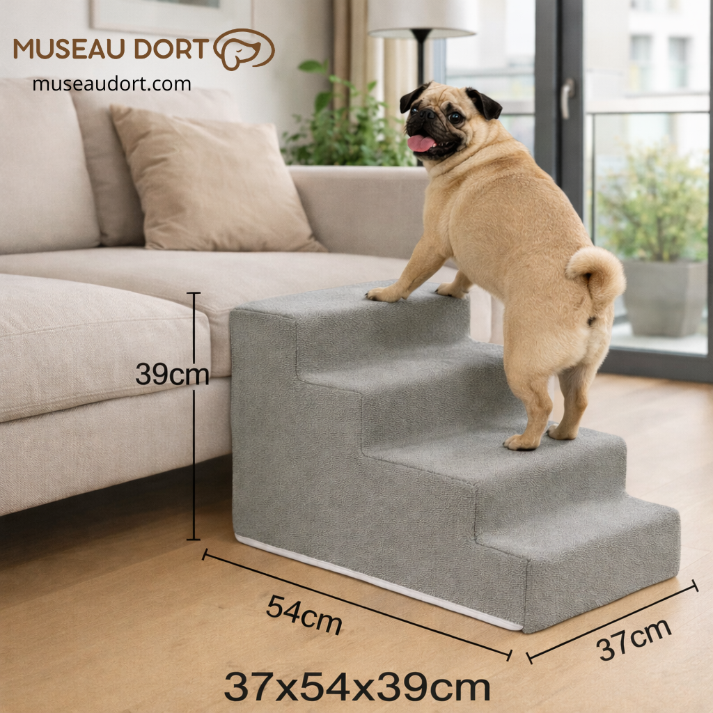 Escalier pour chien avec dimensions 37x54x39 cm, placé contre le canapé pour une montée stable et sécurisée – Museau Dort