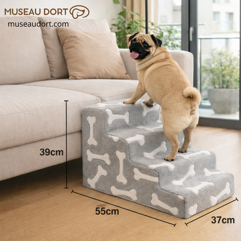 Escalier pour chien placé contre le canapé, permettant à un chien senior de monter sans effort et en toute sécurité – Museau Dort