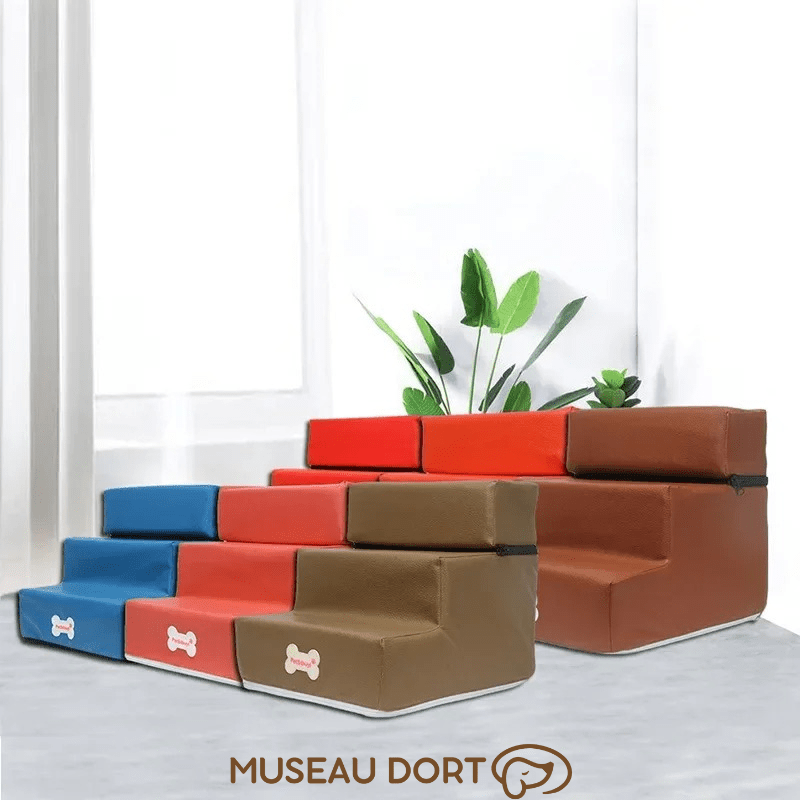 Escaliers pour chien en mousse 2 ou 3 marches, plusieurs couleurs, modèle intérieur pour petit chien et chien sénior.
