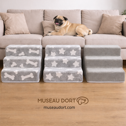 Trois modèles d’escalier pour chien alignés devant le canapé, offrant confort et sécurité pour chiens seniors – Museau Dort