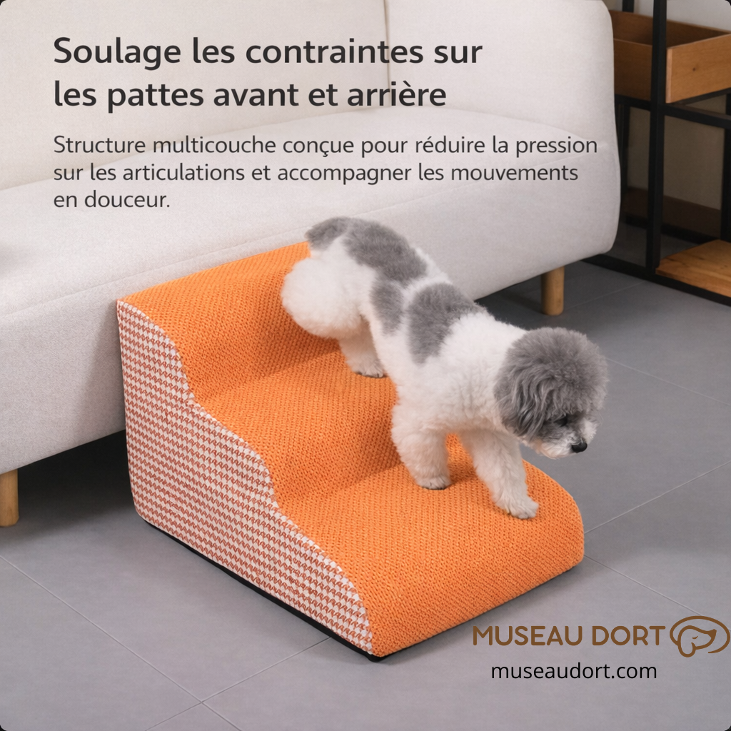 Escalier pour chien Monte Pépère soulageant les articulations, aide à la montée et descente en douceur pour chien âgé.