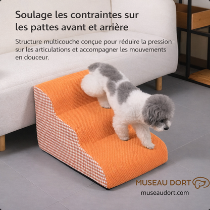 Escalier pour chien Monte Pépère soulageant les articulations, aide à la montée et descente en douceur pour chien âgé.