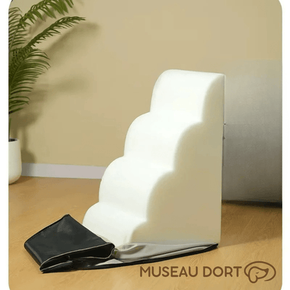Escalier pour chien avec housse amovible et lavable, accès au lit confortable – Museau Dort