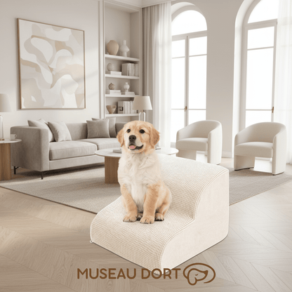 Escalier pour Chien – Mousse Orthopédique et Housse Lavable - Museau dort