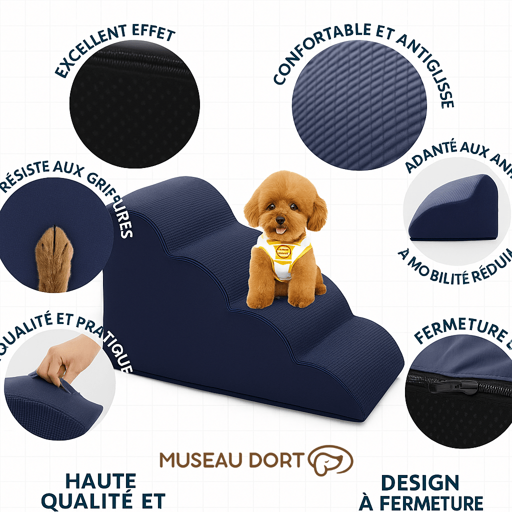 Escalier pour Chien – Mousse Orthopédique et Housse Lavable - Museau dort