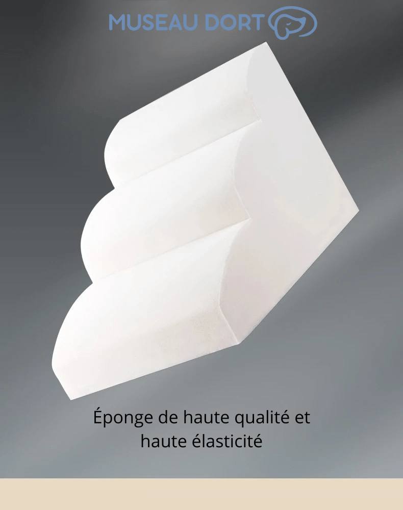 Escalier pour Chien Multi - Âges – L'Escalier qui Dure une Vie - Museau dort