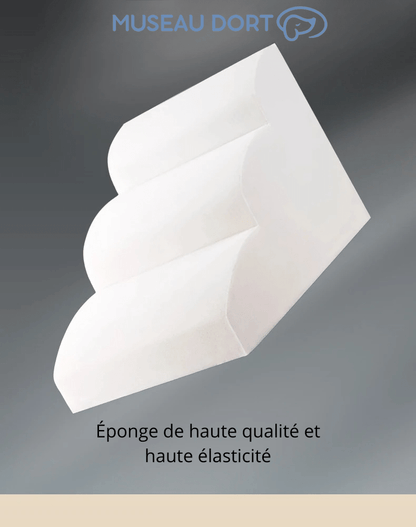 Escalier pour Chien Multi - Âges – L'Escalier qui Dure une Vie - Museau dort