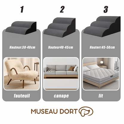 Escalier pour chien avec trois tailles (30-40 cm, 40-45 cm, 45-50 cm), adapté pour fauteuil, canapé, et lit.