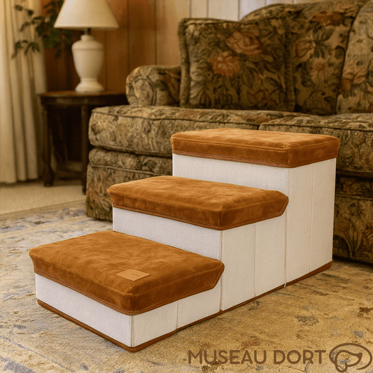 Escalier pour Chien Pliable avec Rangement 🐾 | Sécurité, Confort et Gain de Place - Museau dort
