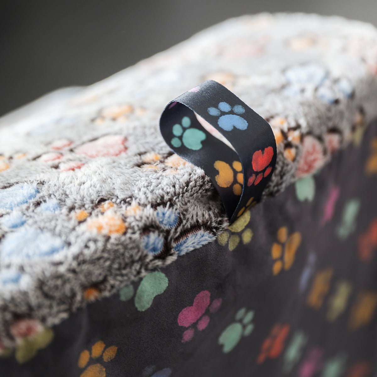 Escalier pour Chien / Rampe pour Chien - Museau dort