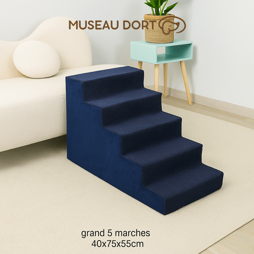 Escalier pour Chien / Rampe pour Chien Âgé - Museau dort