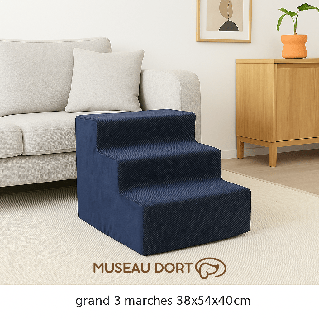 Escalier pour Chien / Rampe pour Chien Âgé - Museau dort